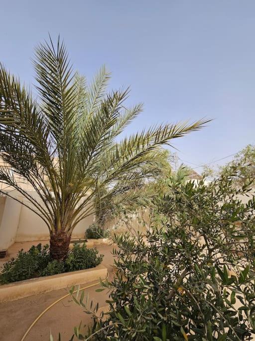 Hadhri Appartement Tozeur Exterior foto