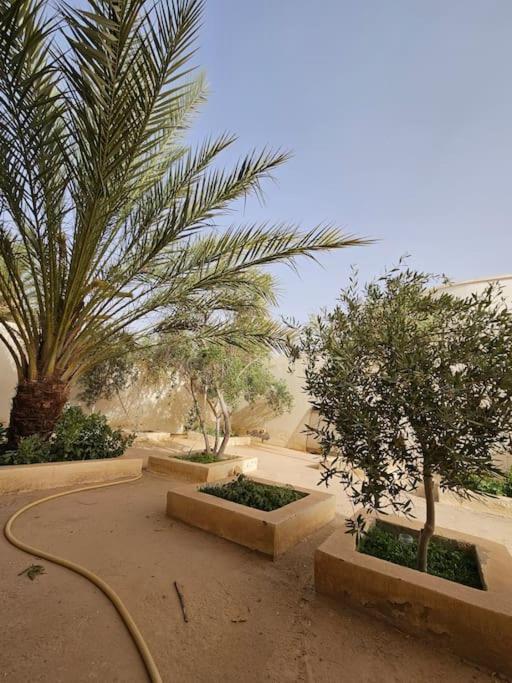 Hadhri Appartement Tozeur Exterior foto